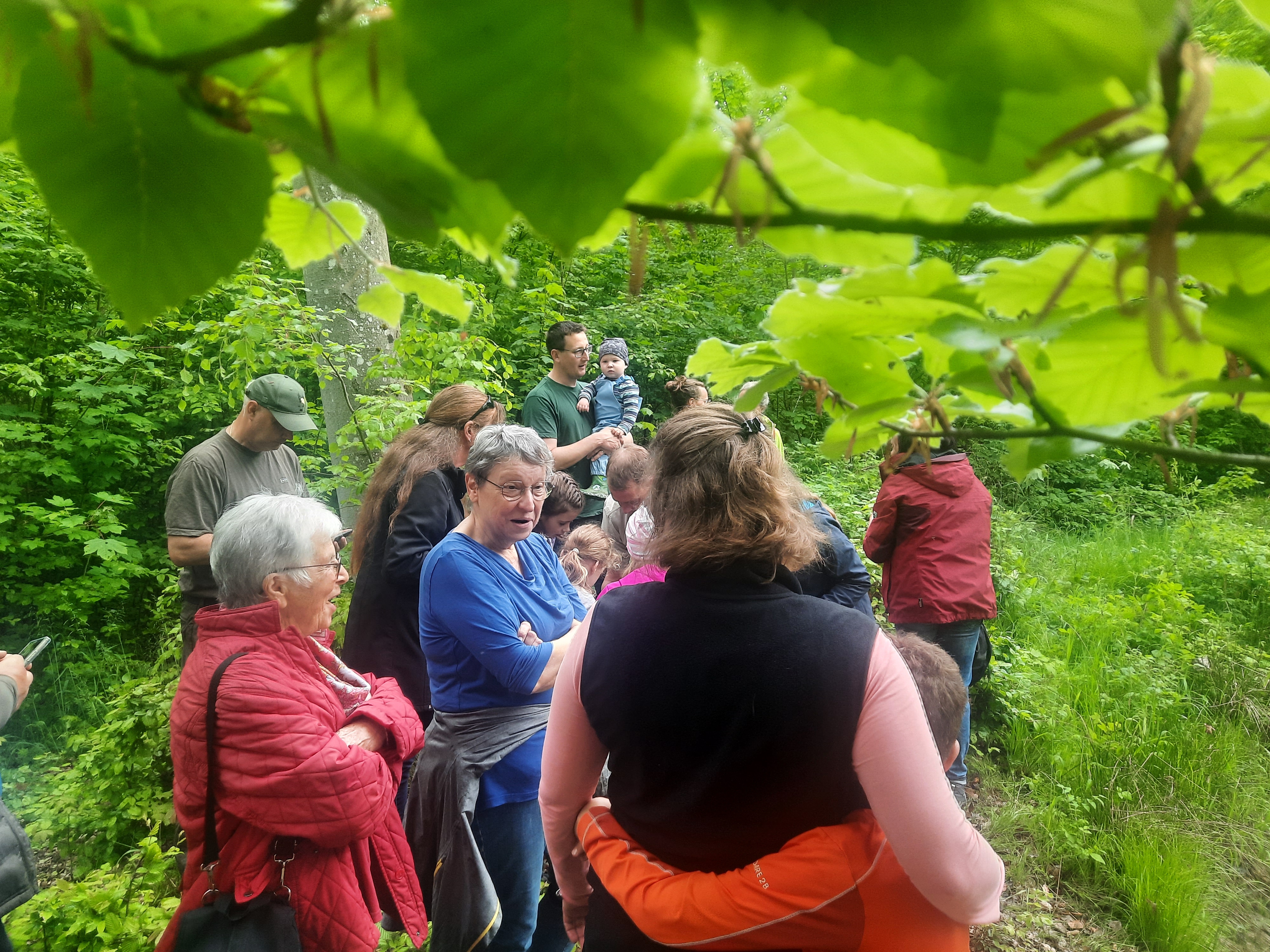 Naturerlebnistag mit einer großen Gruppe im Wald