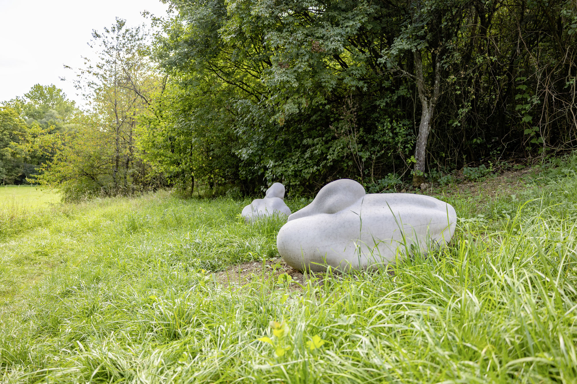 Chillende Enten