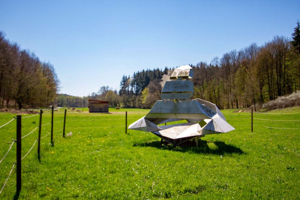 Ohne Titel (Flugobjekt) aus Wiese