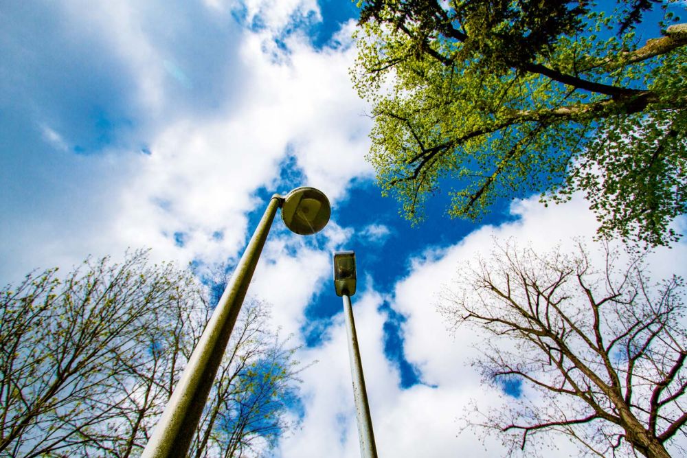 Paar im Park - Laternenpaar gegen Himmel fotografiert