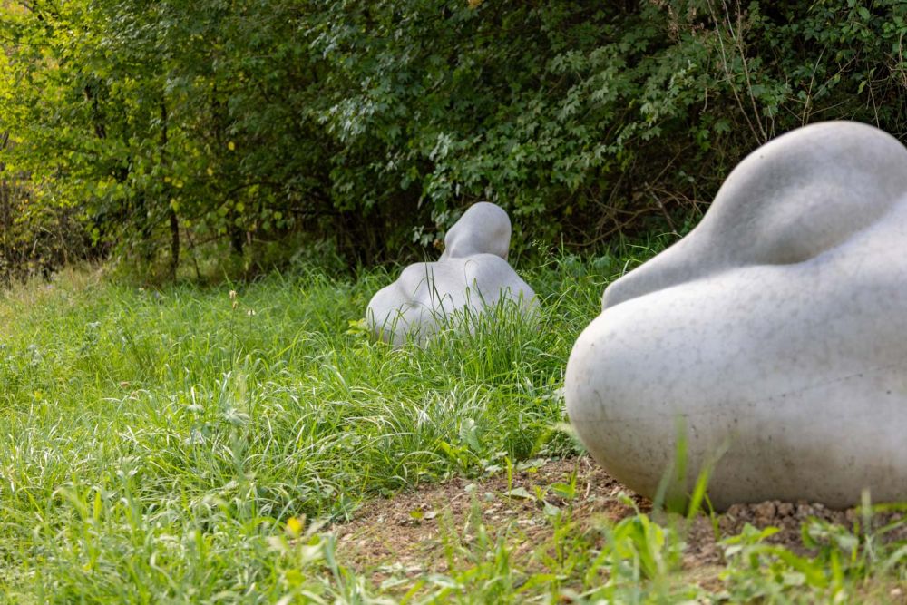 zwei Beton Enten im Gras