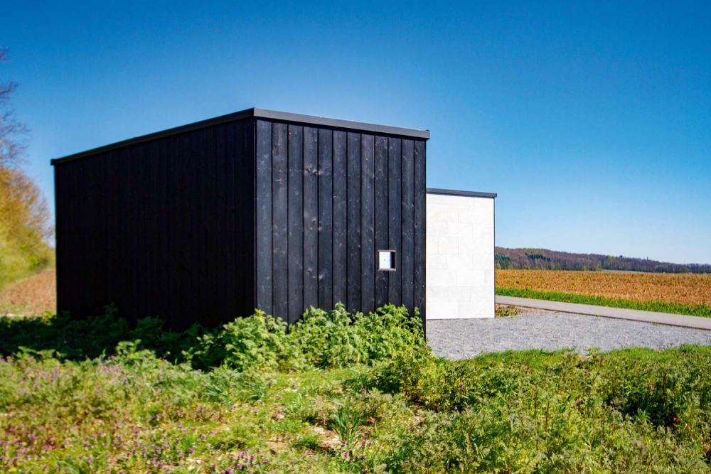 Licht, lautlos von Laila Auburger