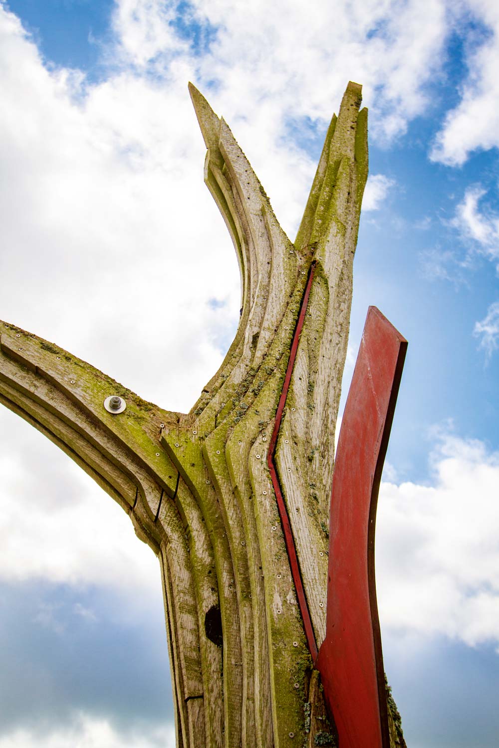 Detailansicht der Bretter und Schrauben