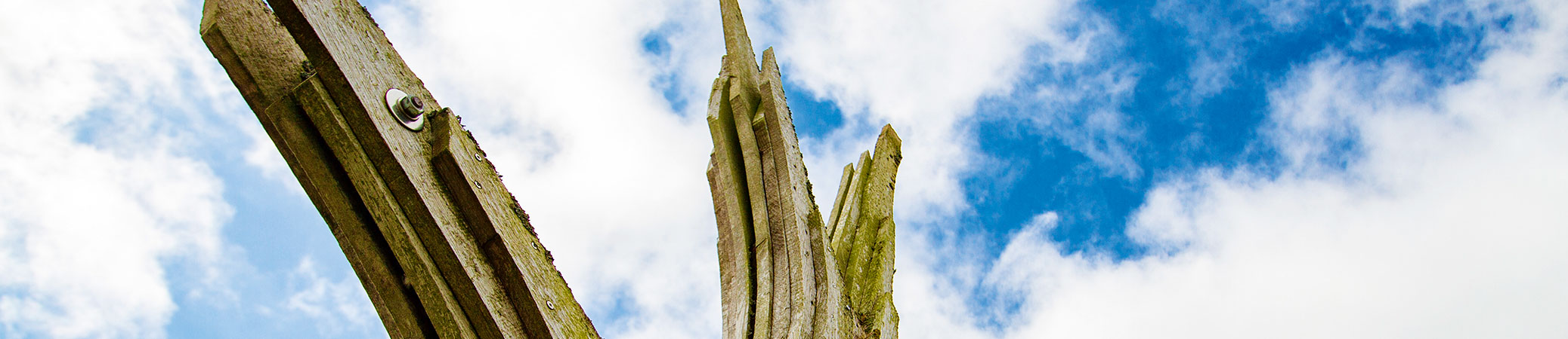 Retrograde Umgestaltung