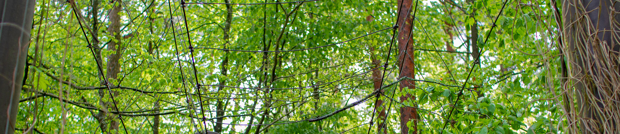 Ohne Titel (Brücke)